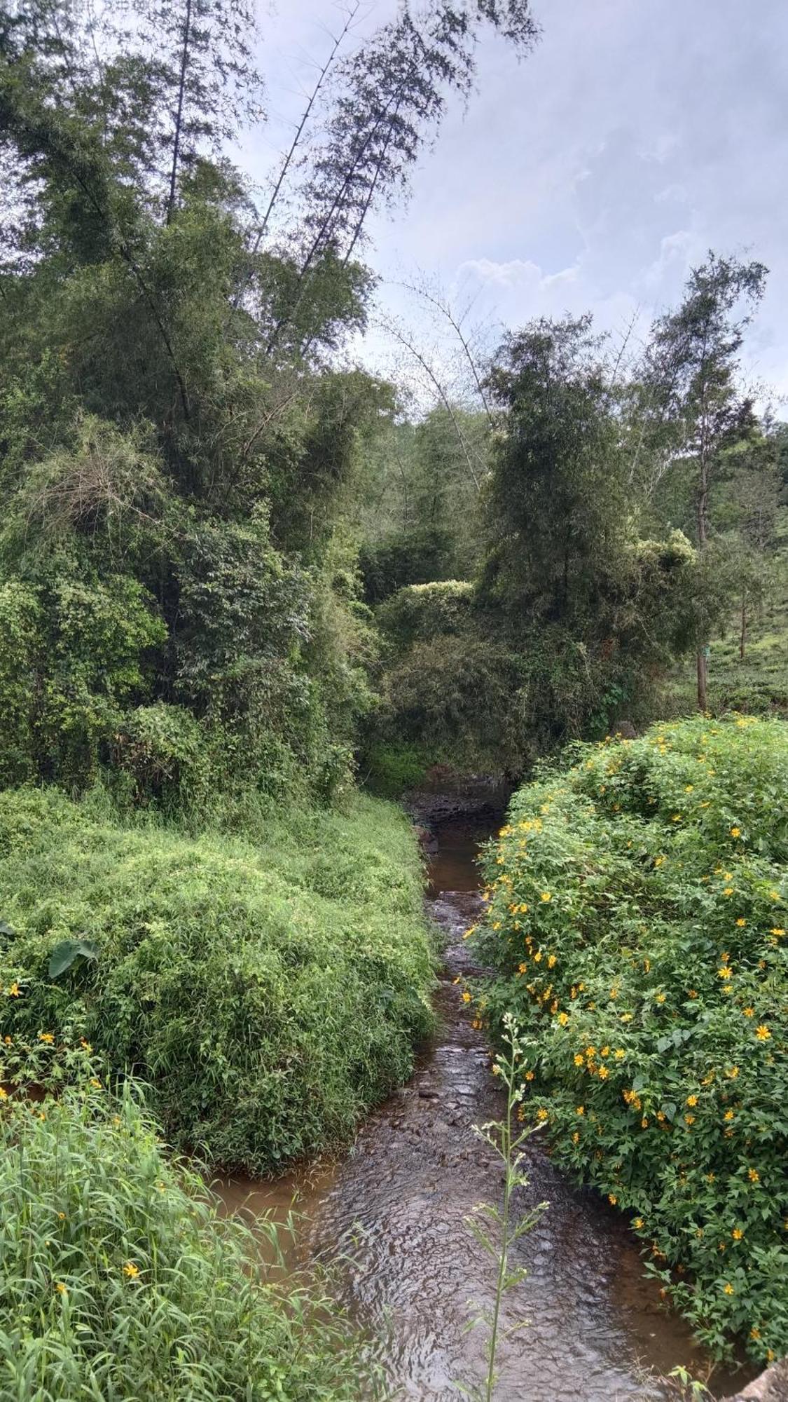 Jungle Valley Ayurvedic Spa Resort Meppādi Dış mekan fotoğraf