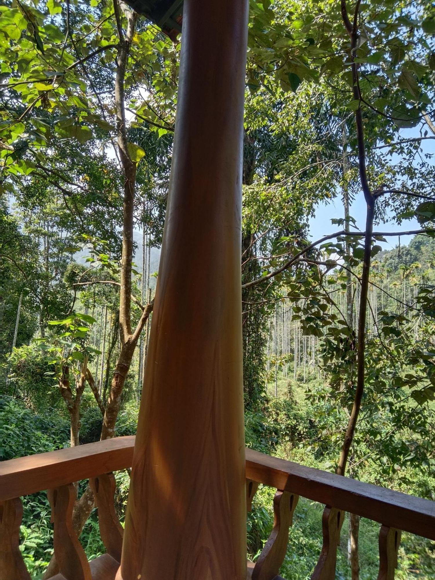 Jungle Valley Ayurvedic Spa Resort Meppādi Dış mekan fotoğraf